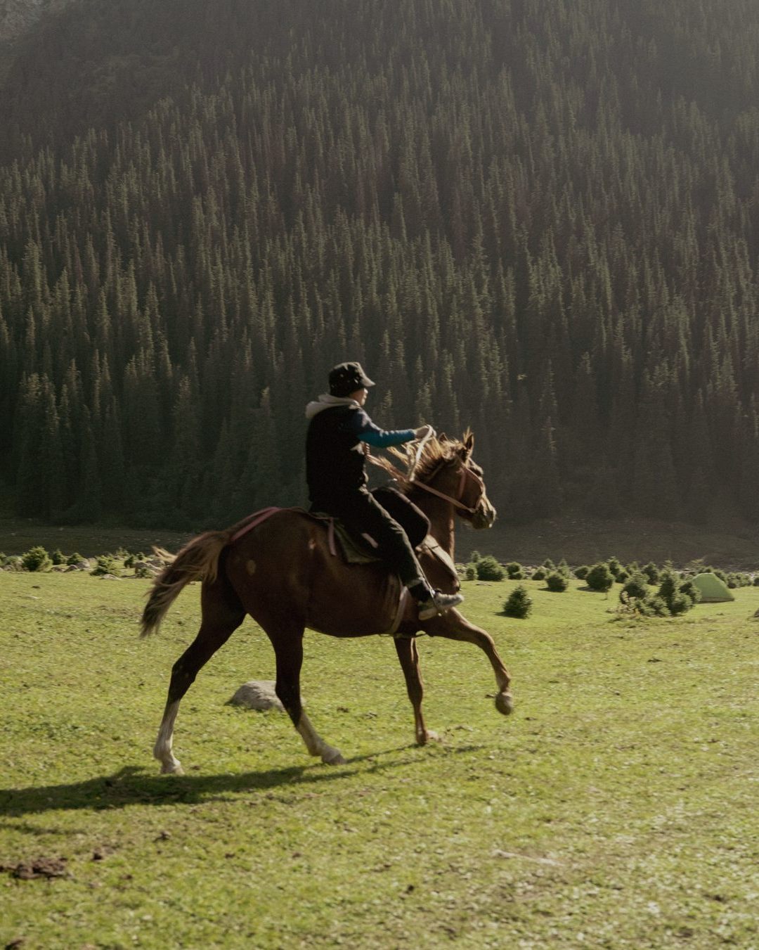 A lone rider crossing a green valley beneath a dark forest