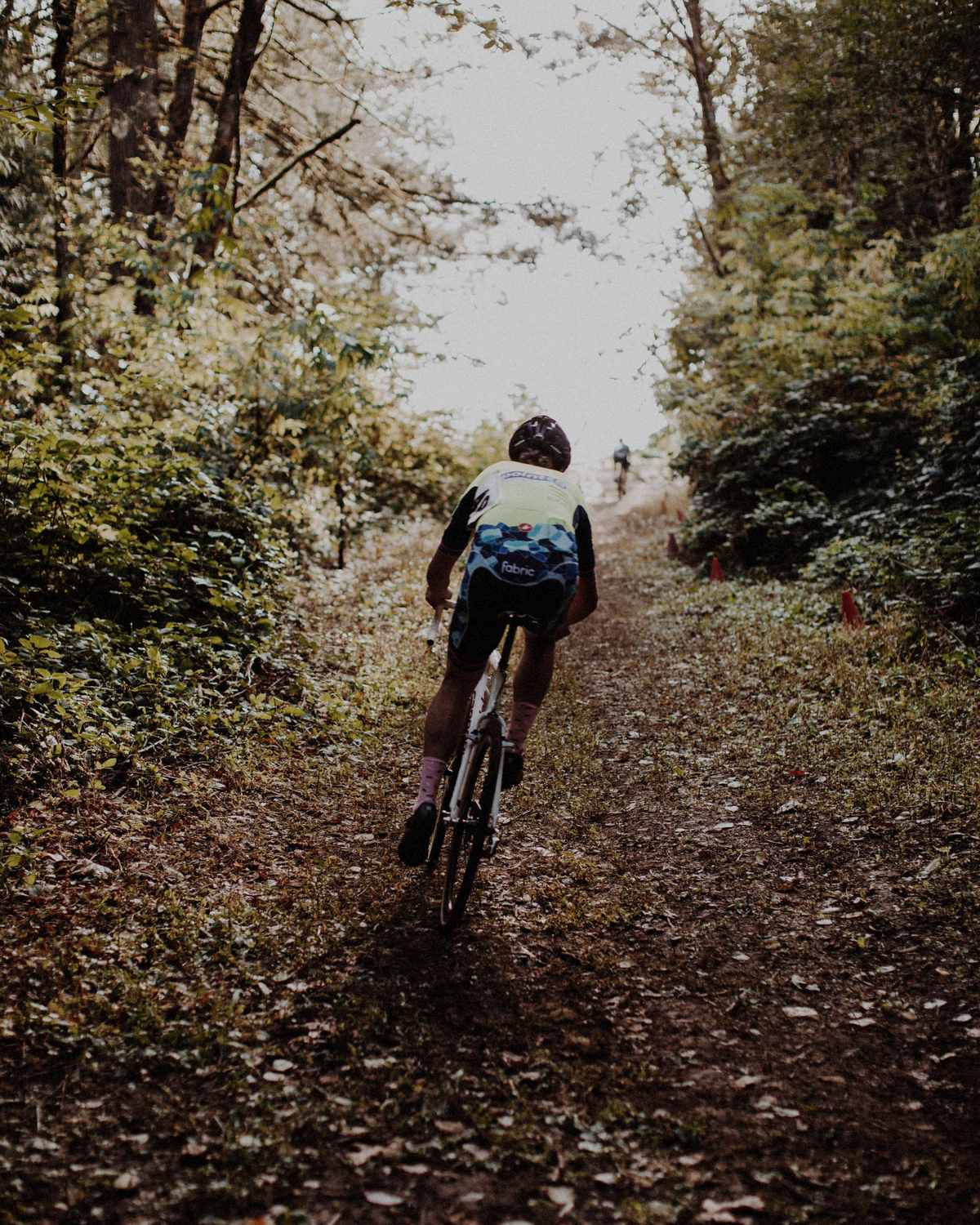 A rider on a narrow forest trail, seen from behind
