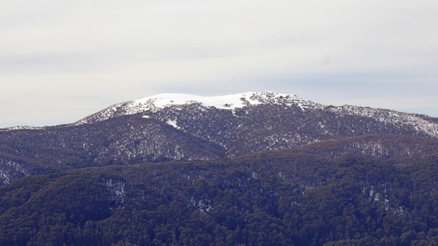 Snow on the summit of Mt Buller, above forested ranges