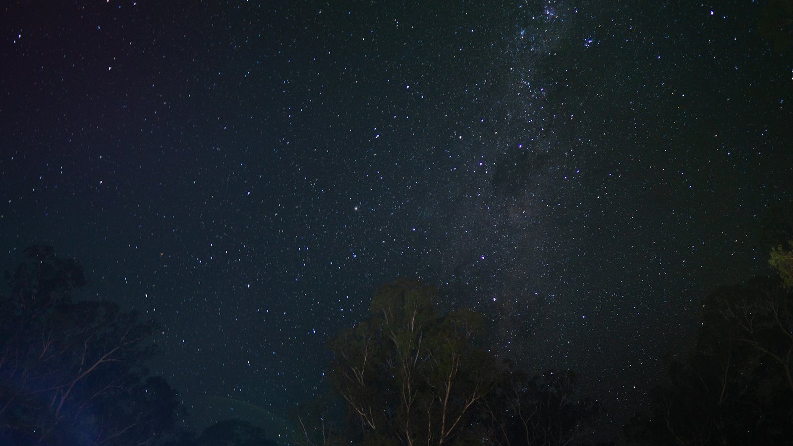 Stars over the tree line at Sheepyard Flat in the Howqua Hills