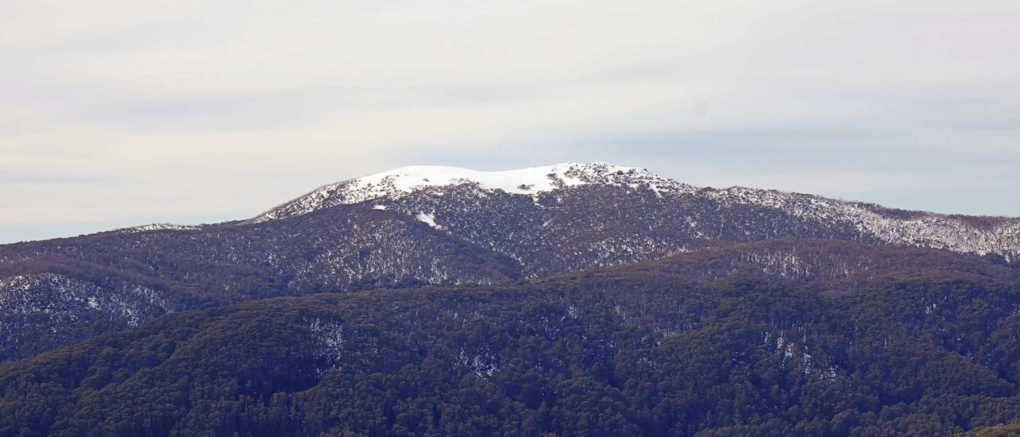 Snow on the summit of Mt Buller, above forested ranges