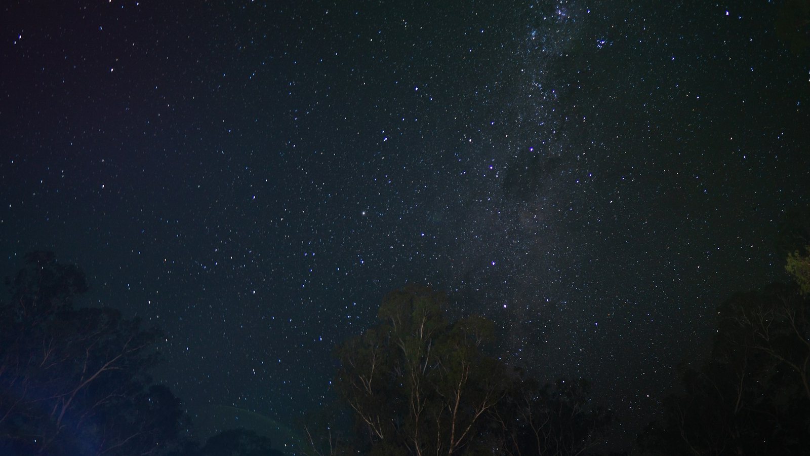 Stars over the tree line at Sheepyard Flat in the Howqua Hills